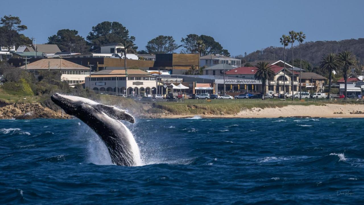 Bermagui Beach Hotel ภายนอก รูปภาพ